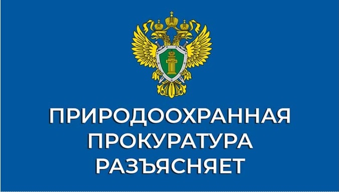 Есть ли какие-то правила сбора грибов, ягод и иных пищевых лесных ресурсов для собственных нужд?. Есть ли какие-то правила сбора грибов, ягод и иных пищевых лесных ресурсов для собственных нужд?.